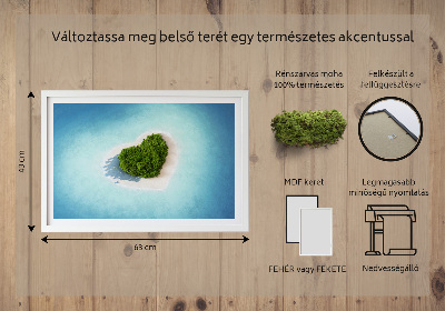 Obraz ze stabilizovaneho mechu Ostrov ve tvaru srdce