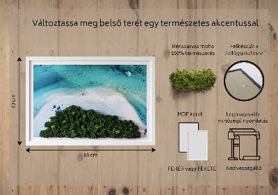 Obraz z mechu Azure pláž