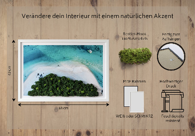 Obraz z mechu Azure pláž