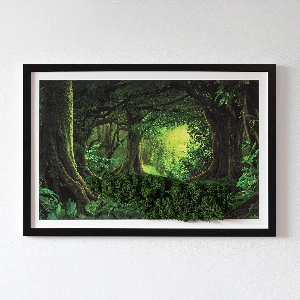 Obraz z živého mechu Tropická džungle