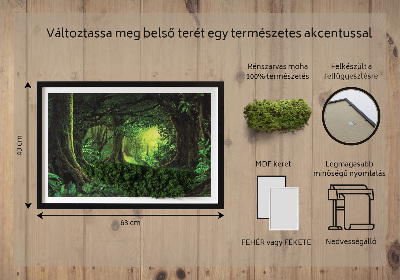 Obraz z živého mechu Tropická džungle