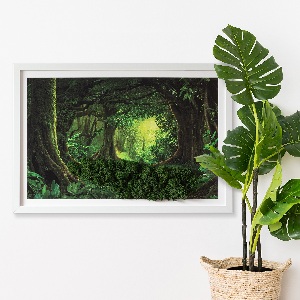 Obraz z živého mechu Tropická džungle