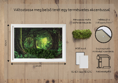 Obraz z živého mechu Tropická džungle
