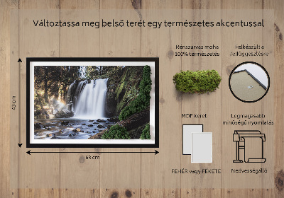 Mechový obraz Vodopád obklopený stromy