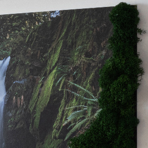 Mechový obraz Vodopád obklopený stromy