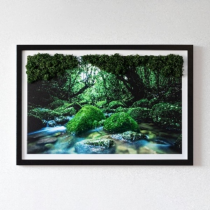 Mechový obraz Řeka uprostřed lesa