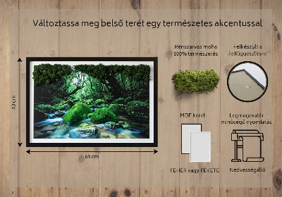 Mechový obraz Řeka uprostřed lesa