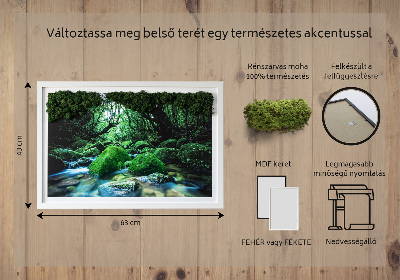 Mechový obraz Řeka uprostřed lesa