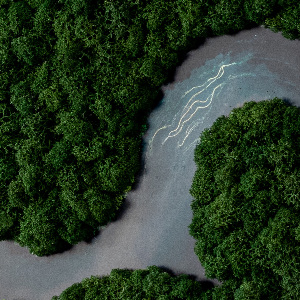 Mechový obraz Řeka v lese
