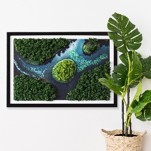 Obraz z mechu Ostrov na stojatých vodách