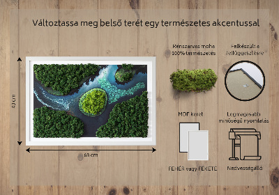 Obraz z mechu Ostrov na stojatých vodách