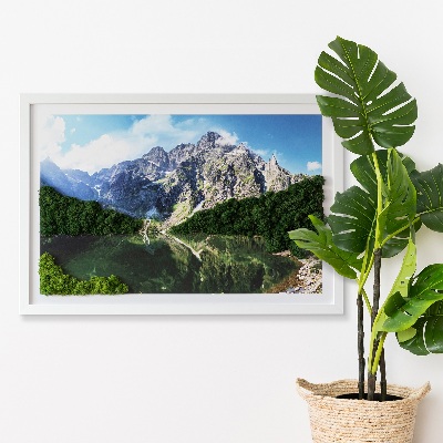 Obraz z mechu Tatry Morskie Oko