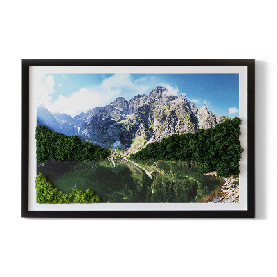 Obraz z mechu Tatry Morskie Oko