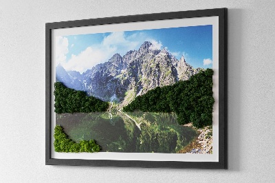 Obraz z mechu Tatry Morskie Oko
