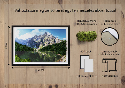 Obraz z mechu Tatry Morskie Oko