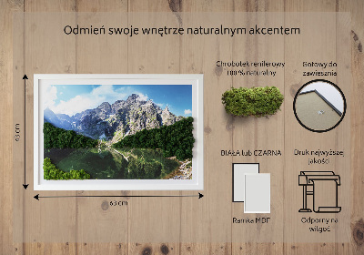 Obraz z mechu Tatry Morskie Oko