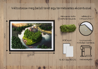 Obraz ze stabilizovaneho mechu Hrad na kopci