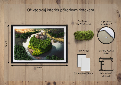 Obraz ze stabilizovaneho mechu Hrad na kopci