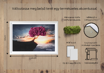 Obraz z mechu Strom nad propastí