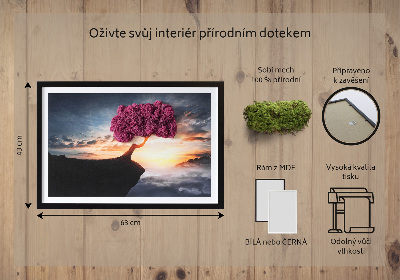 Obraz z mechu Strom nad propastí