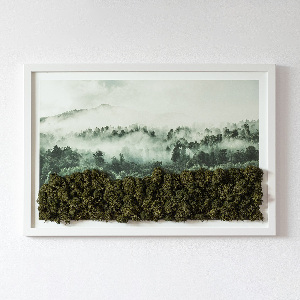 Mechový obraz Les v mlze