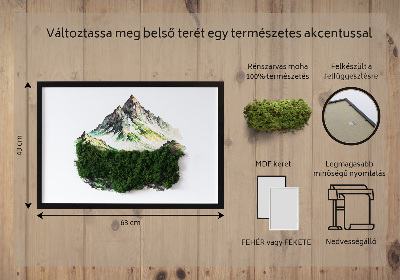 Mechový obraz Vrchol hory nad lesem