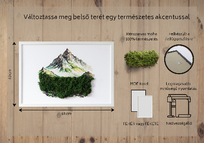 Mechový obraz Vrchol hory nad lesem