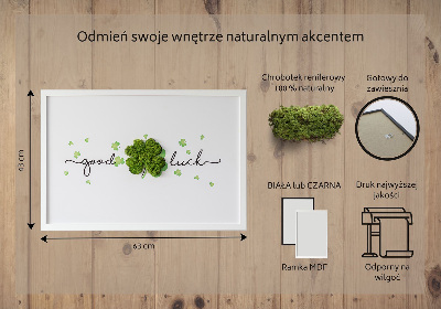 Obraz z mechu Nápis hodně štěstí jetel