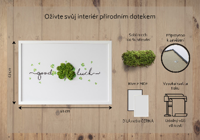 Obraz z mechu Nápis hodně štěstí jetel