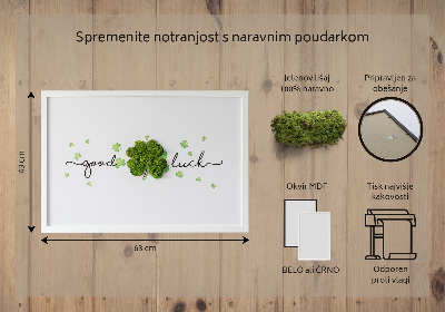 Obraz z mechu Nápis hodně štěstí jetel