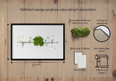 Obraz z mechu Nápis hodně štěstí jetel