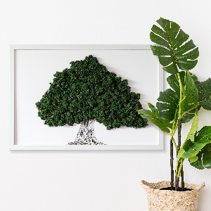 Mechový obraz Strom s kořeny na bílém pozadí