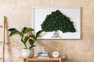 Mechový obraz Strom s kořeny na bílém pozadí