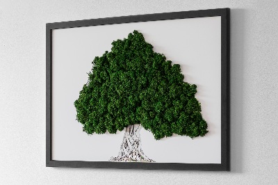 Mechový obraz Strom s kořeny na bílém pozadí