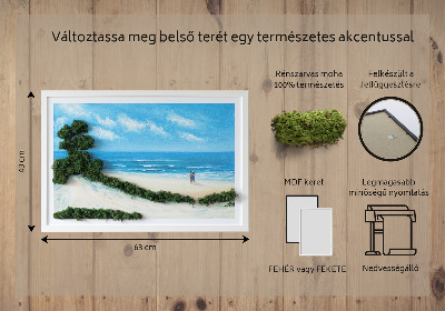Obraz ze stabilizovaneho mechu Milenci na pláži
