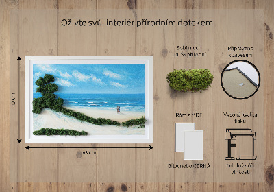 Obraz ze stabilizovaneho mechu Milenci na pláži