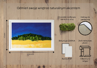 Mechový obraz Modrá a žlutá krajina