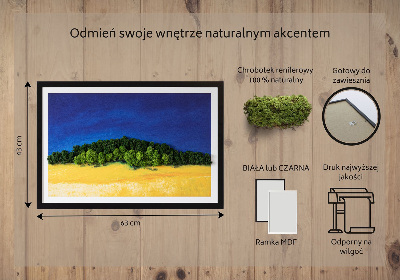 Mechový obraz Modrá a žlutá krajina
