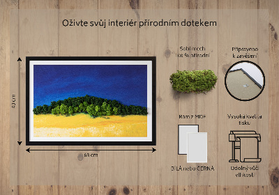 Mechový obraz Modrá a žlutá krajina