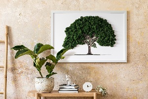 Obraz z mechu Strom na bílém pozadí
