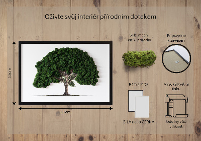 Obraz z mechu Strom na bílém pozadí