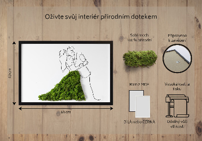 Obraz ze stabilizovaneho mechu Tančící pár