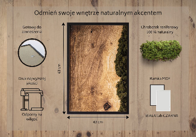 Obraz z mechu Přírodní dub