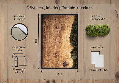 Obraz z mechu Přírodní dub