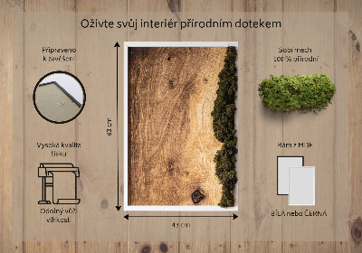 Obraz z mechu Přírodní dub