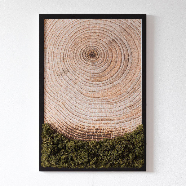 Mechový obraz Dřevo zrno