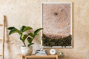 Mechový obraz Dřevo zrno