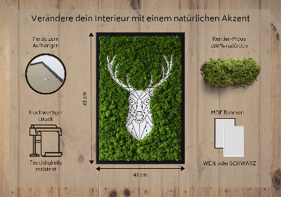 Obraz z živého mechu Geometrický jelen