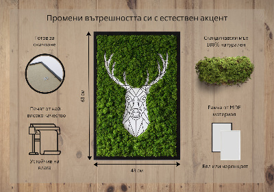 Obraz z živého mechu Geometrický jelen