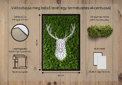 Obraz z živého mechu Geometrický jelen